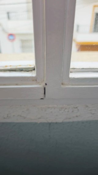 Ventana Hierro Blanca