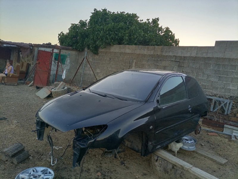 Peugeot 206 2013 - foto 1