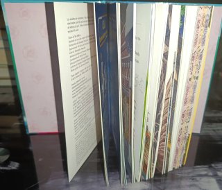 Libro El secreto de las hadas del lago Stilton