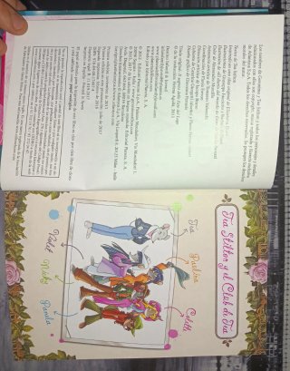 Libro El secreto de las hadas del lago Stilton