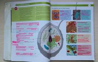 Biología y Geología 3 ESO Aragón oportunidad