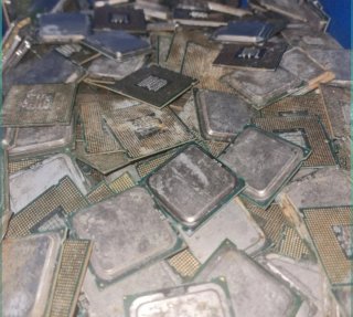 Lote 100 procesadores Intel