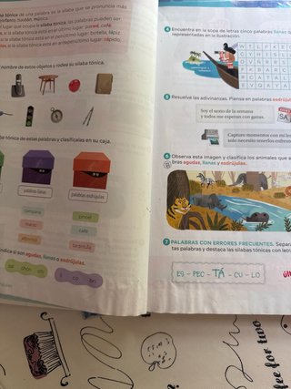 Libro Lengua Castellanas  y Literatura 4 Primaria