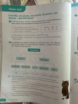 Libro Lengua Castellanas  y Literatura 4 Primaria