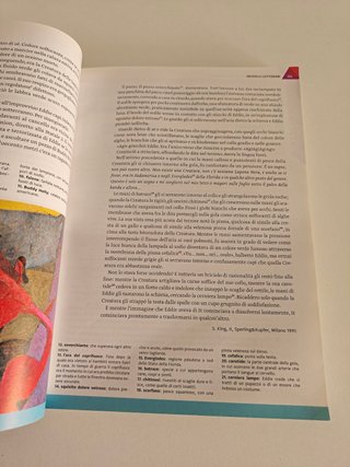 DAMELE RIFLESSI NARRATIVA POESIA TEATRO