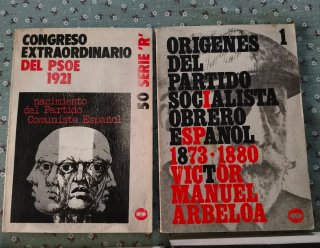 Libros sobre política y socialismo.