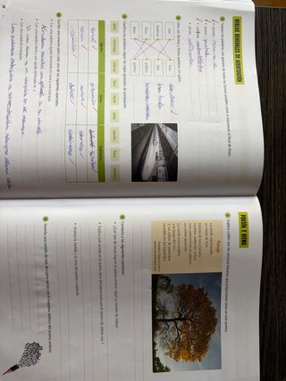 Lengua Castellana y Literatura 6º primaria