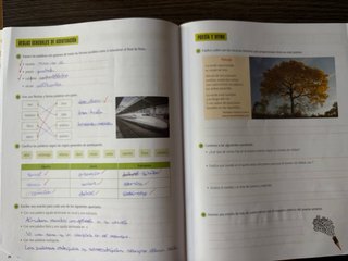 Lengua Castellana y Literatura 6º primaria