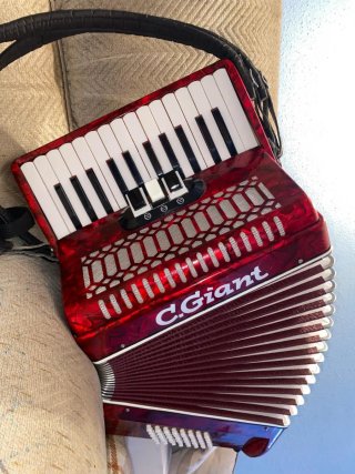 Fisarmonica C.Giant 48 bassi
