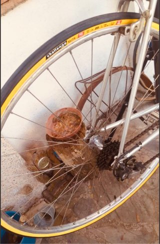 Bicicleta Clásica Gitane