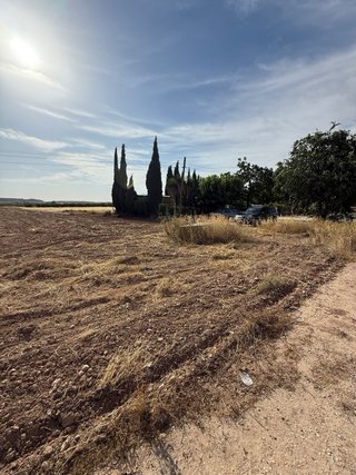 Terrreno en venta, en Pinoso ( El Rodriguillo)