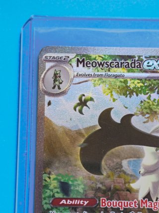 Meowscarada ex PAL 256/193