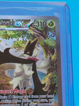 Meowscarada ex PAL 256/193