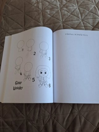 Libro como dibujar a Harry Potter