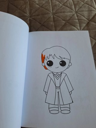 Libro como dibujar a Harry Potter
