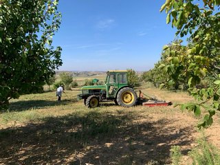 Tractor John Deere 5500 N (tractor frutero)