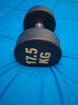 Disco Mancuerna 17.5 KG