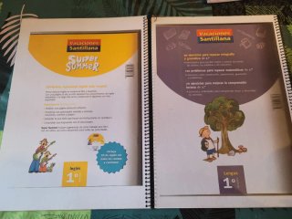 2 Cuadernos para vacaciones de 1°Primaria