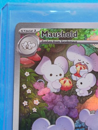 Maushold PAL 226 NM Inglés Illustration Rare