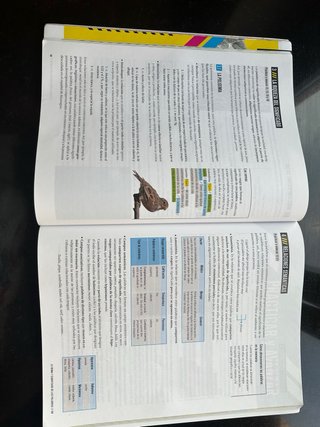 Lengua castellana y literatura 4 Secundaria