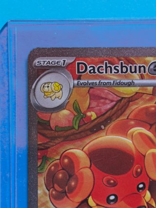 Dachsbun ex SCR 169 Inglés Casi Nuevo