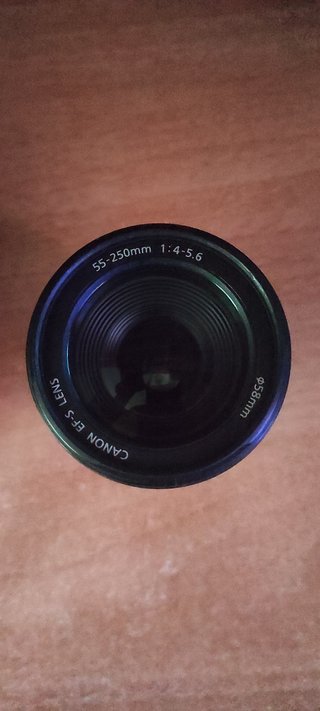Objetivo Canon EF-S 55-250mm