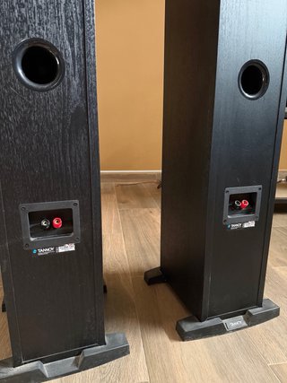 Altavoces Tannoy Eclipse Two Negros