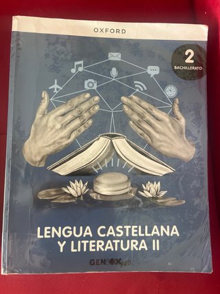 Lote libros de texto