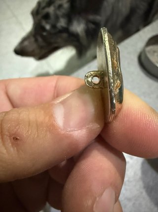 Botones antiguos dorados y plateados