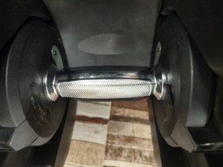 Mancuernas Ajustables 5-40kg (Bowflex)