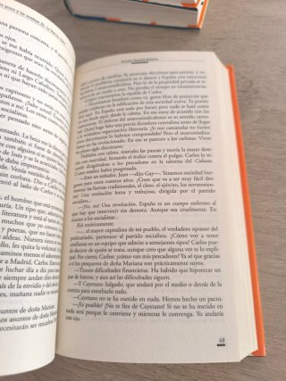 Los Gozos y las sombras