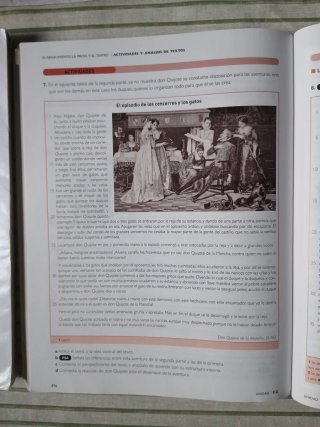 Lengua castellana y literatura 1 bachillerato