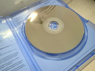 Stray PS5