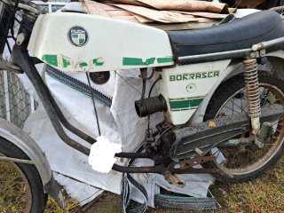 Puch Borrasca Moped