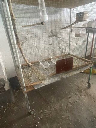 Voladeros para pájaros con ruedas