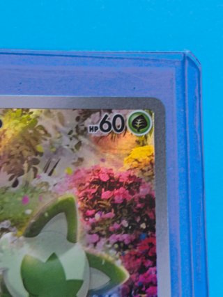 Sprigatito 196/193 Paldea Evolved Inglés NM