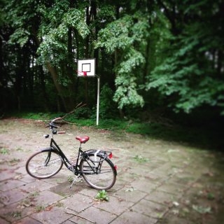 Bicicleta Holandesa