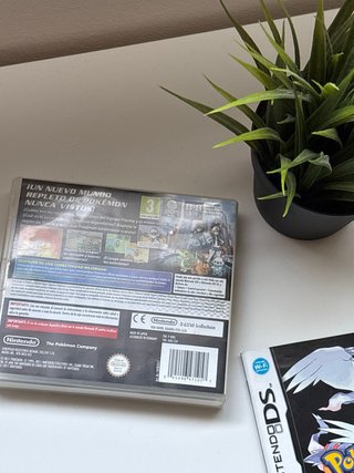 Caja Pokemon edición negra