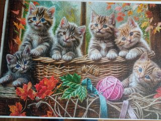 Puzzle 1000 Piezas Gatitos en Cesta