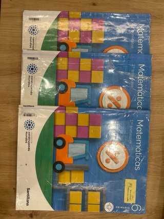 Lote libros 6 primaria