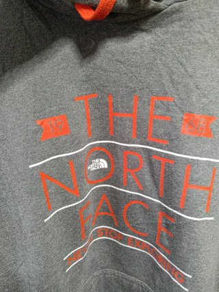 Sudadera The North Face gris con capuchgris