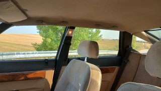 Rover sd1 2600 1985