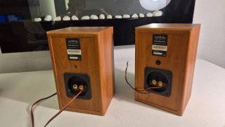 Infinity Primus Altavoces