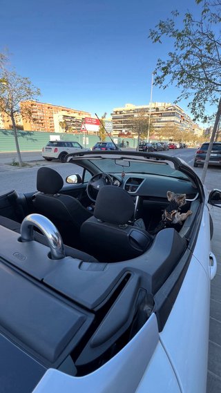 Peugeot 207CC 2010