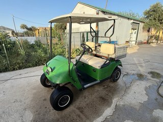 Carrito Golf EZGO Gasolina