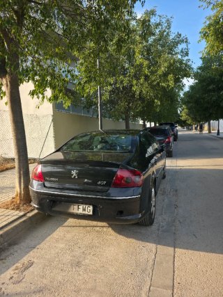 Peugeot 407 2007
