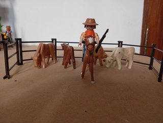 Fuerte Oeste Playmobil (Fort Brave)