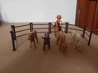 Fuerte Oeste Playmobil (Fort Brave)