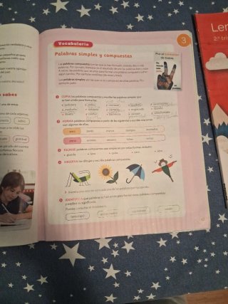 Lengua castellana, 5 Primaria