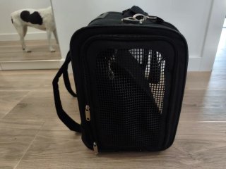 Transportín para perro pequeño con ruedas